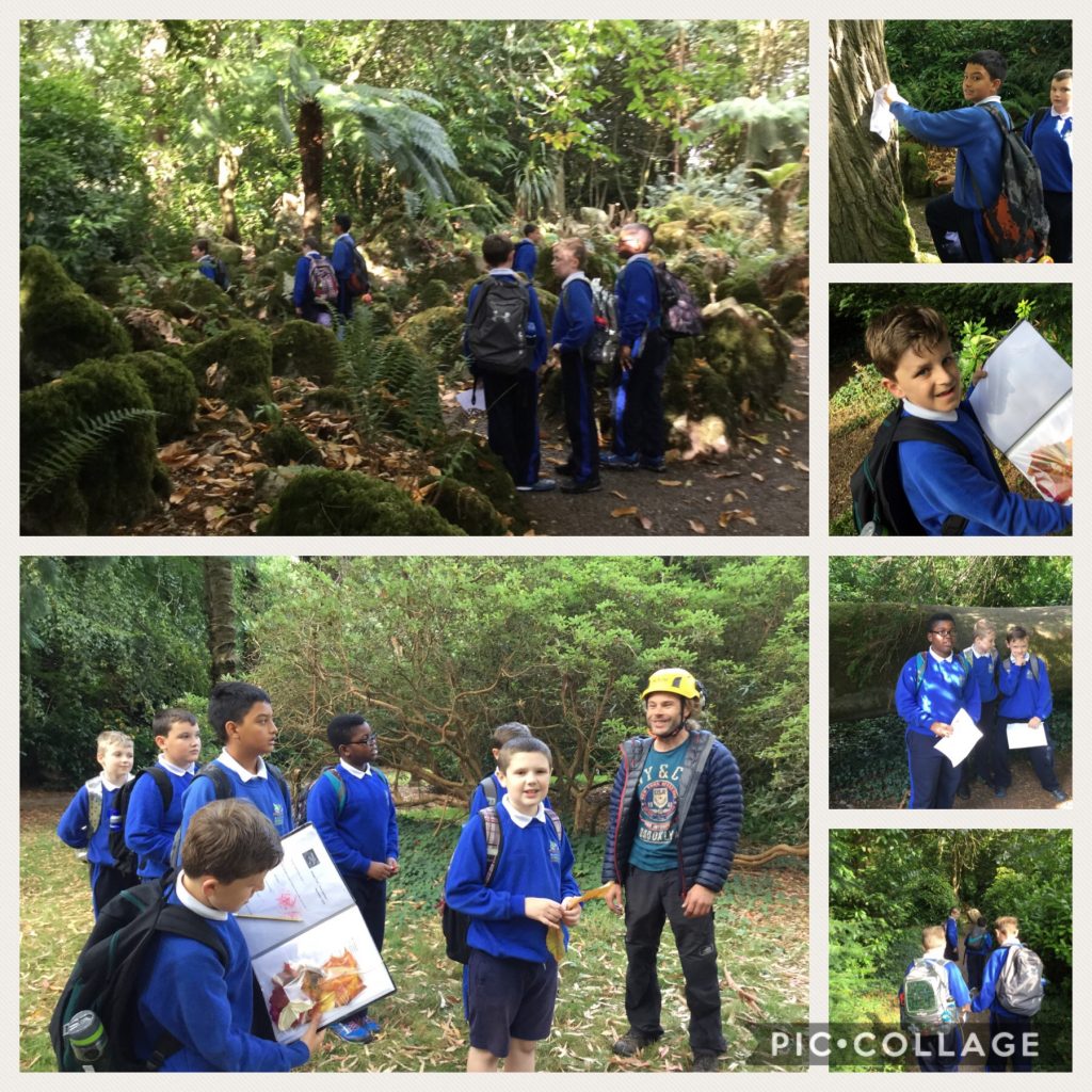 Coisceim Autumn Trail