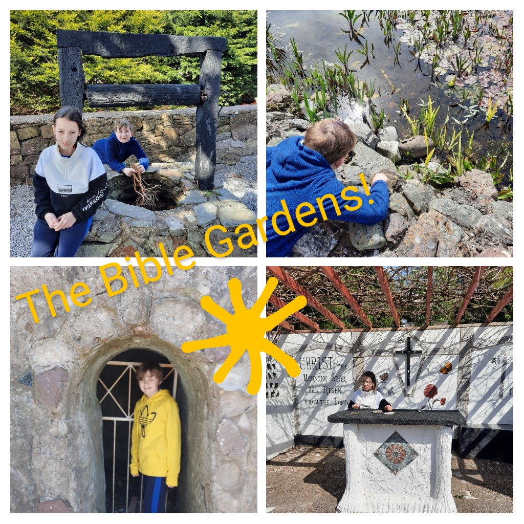 Our visit to The Bible Garden
