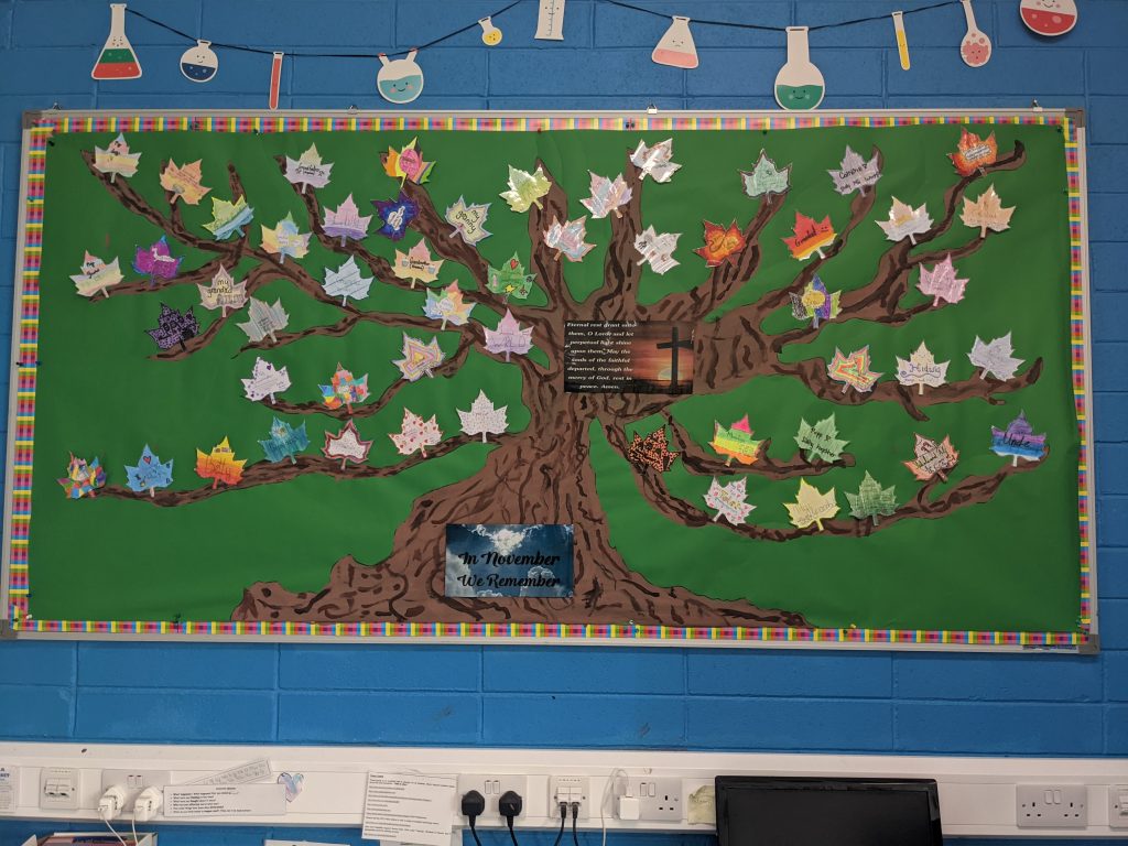 November Remembrance Tree in 6th Class