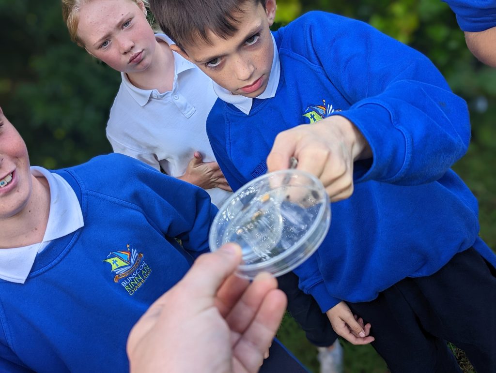 🌲ECOLOGY STUDY! 🌲