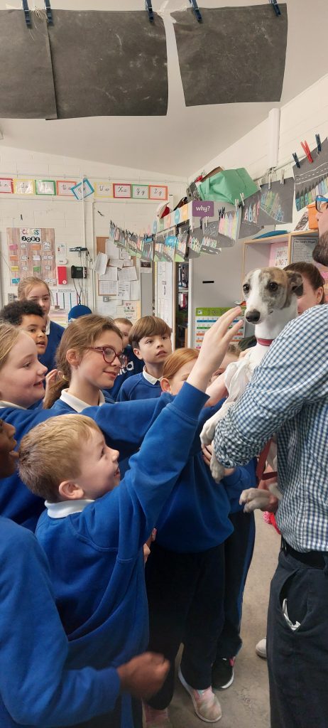 Winnie the Whippet Visits BSRAC 🐶🐕‍🦺